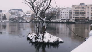 A Perte De Vue CHRONIQUES DE LA RIVIERE 2015 2