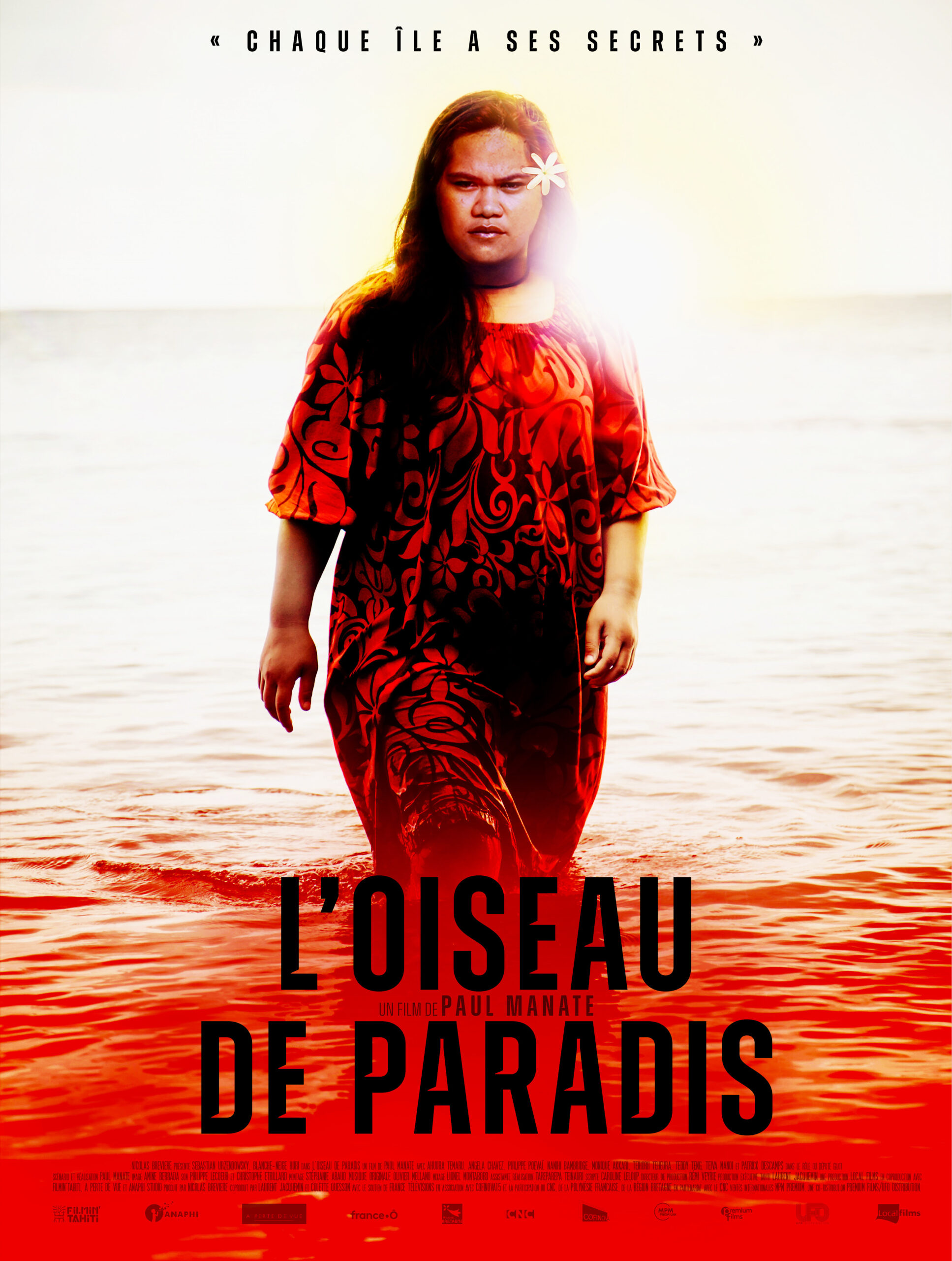 Affiche OiseauDeParadis E Sortie