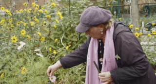 ©LA TERRE DES VERTUS:SEEDS OF THE VERTUS VincentLapize A Perte De Vue Marie