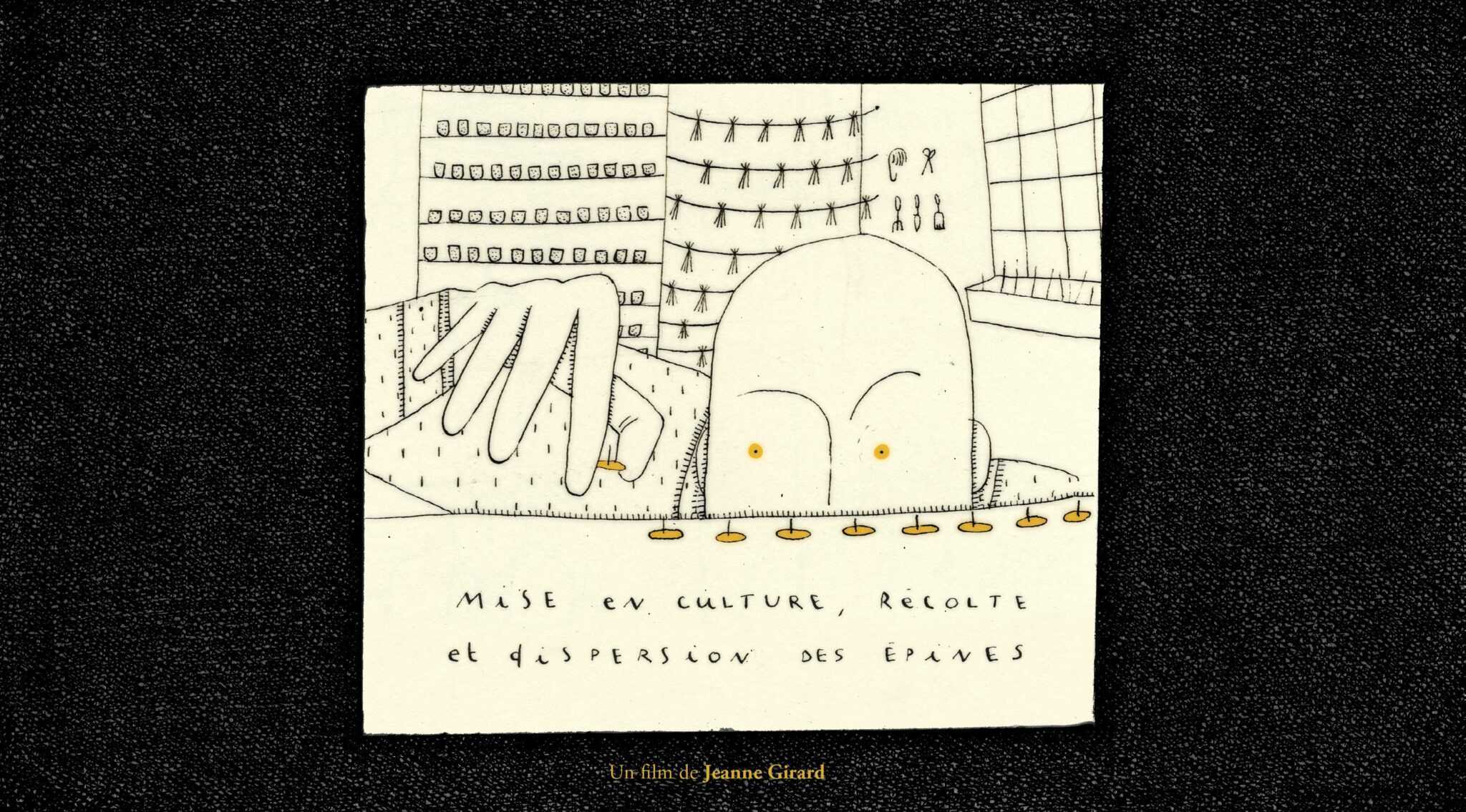 ©MiseEnCulture,RécolteEtDispersionDesEpines JeanneGirard 1